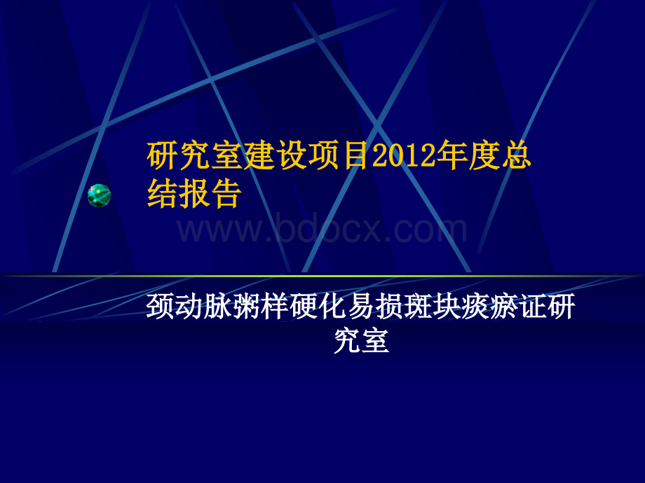 中医药重点研究室年度总结PPT文档格式.ppt_第1页