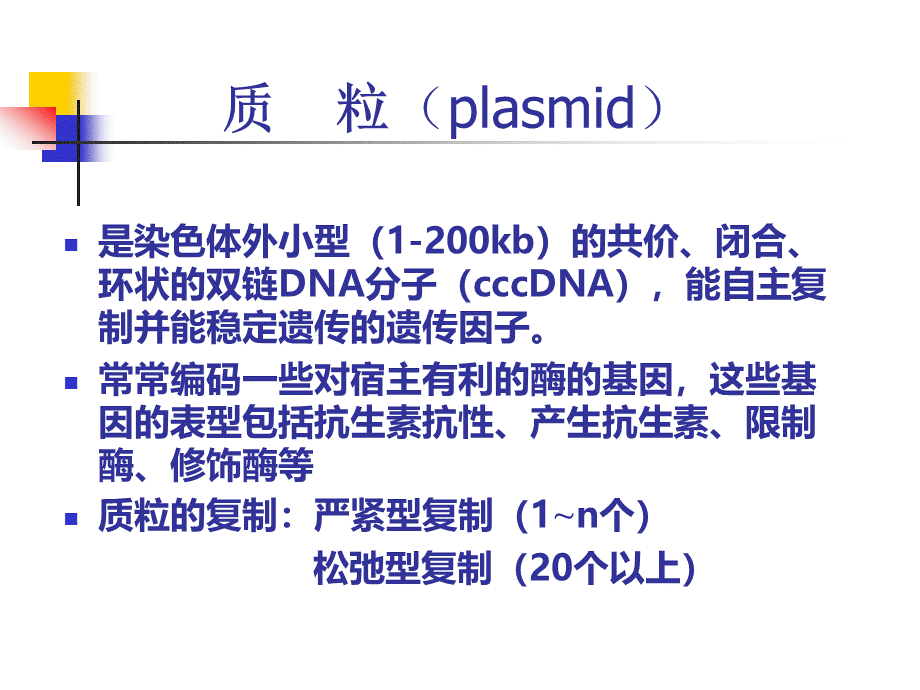 质粒DNA的提取及检测PPT资料.ppt_第2页