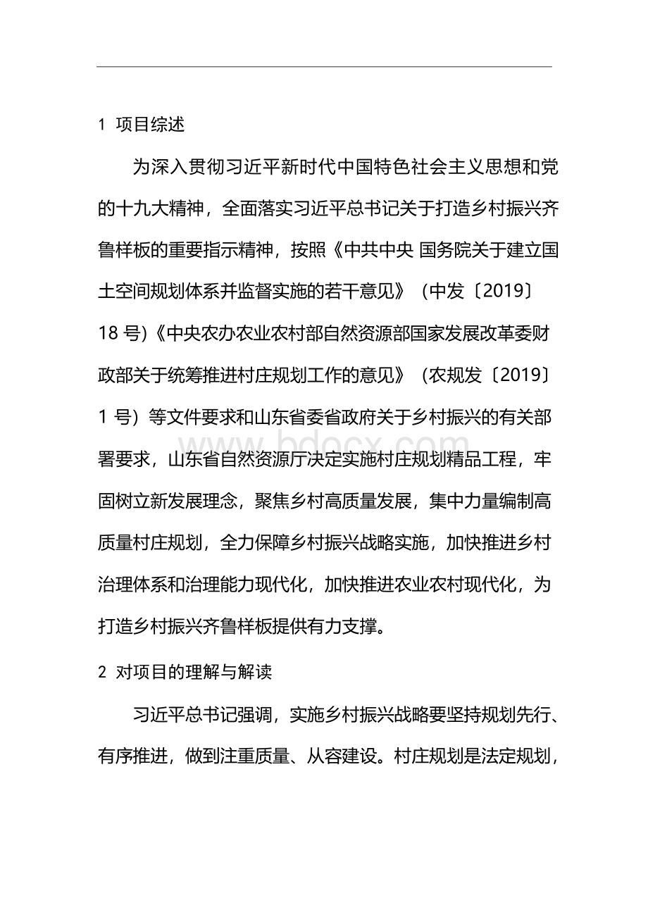 村庄规划技术标书Word文件下载.docx