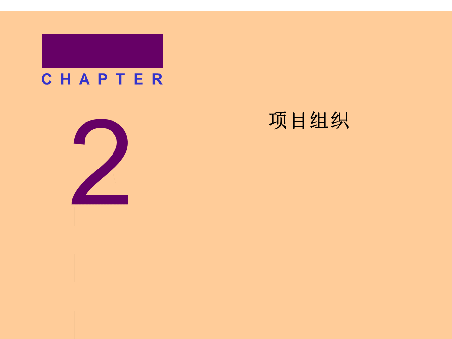 第02章项目组织(课件).ppt_第1页