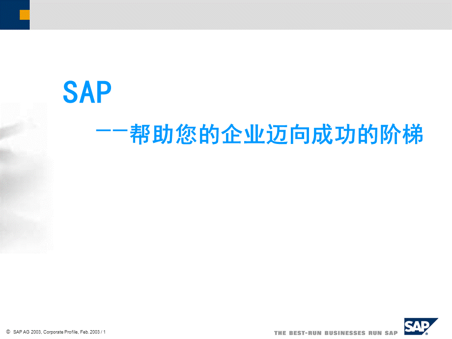 SAP介绍.ppt