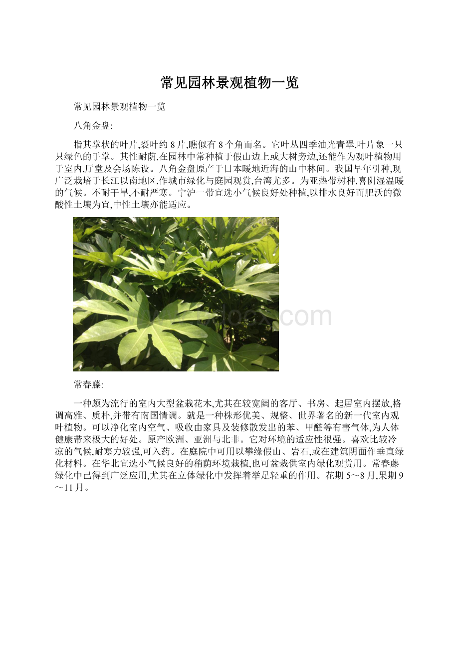 常见园林景观植物一览Word文件下载.docx