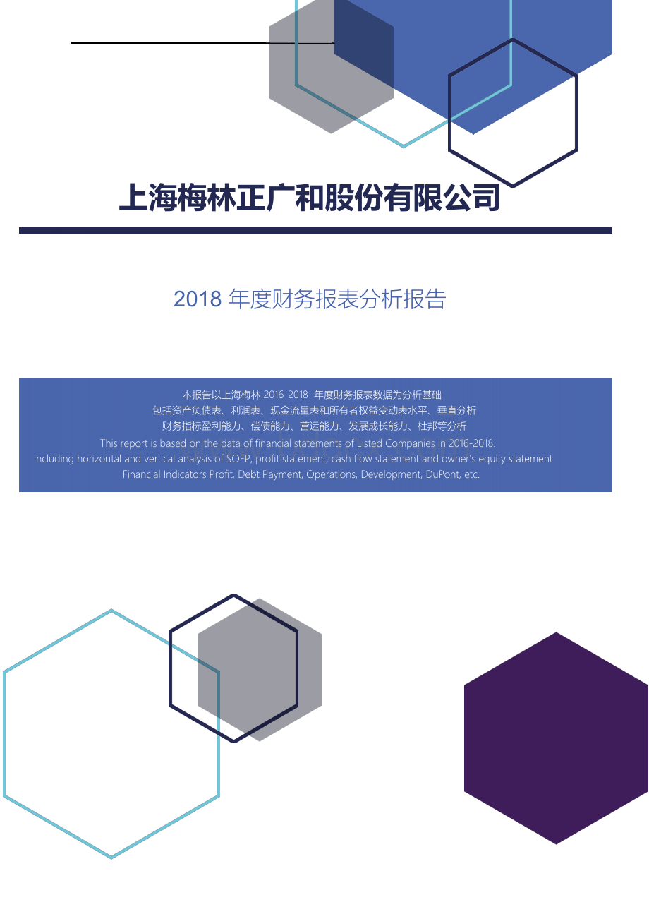 上海梅林正广和股份有限公司2018年度财务报表分析报告Word下载.docx_第1页