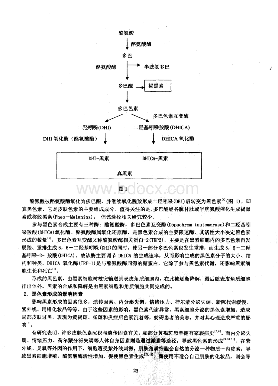 皮肤黑色素形成机理的研究进展及皮肤美白剂的发展现状.pdf_第2页