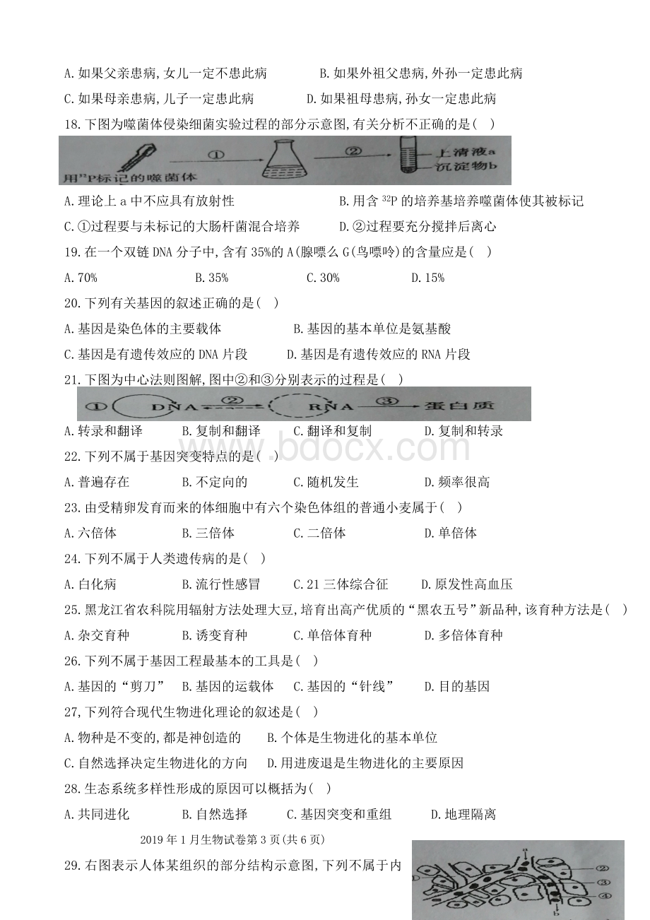 1月云南省普通高中生物学业水平考试文档格式.doc_第3页