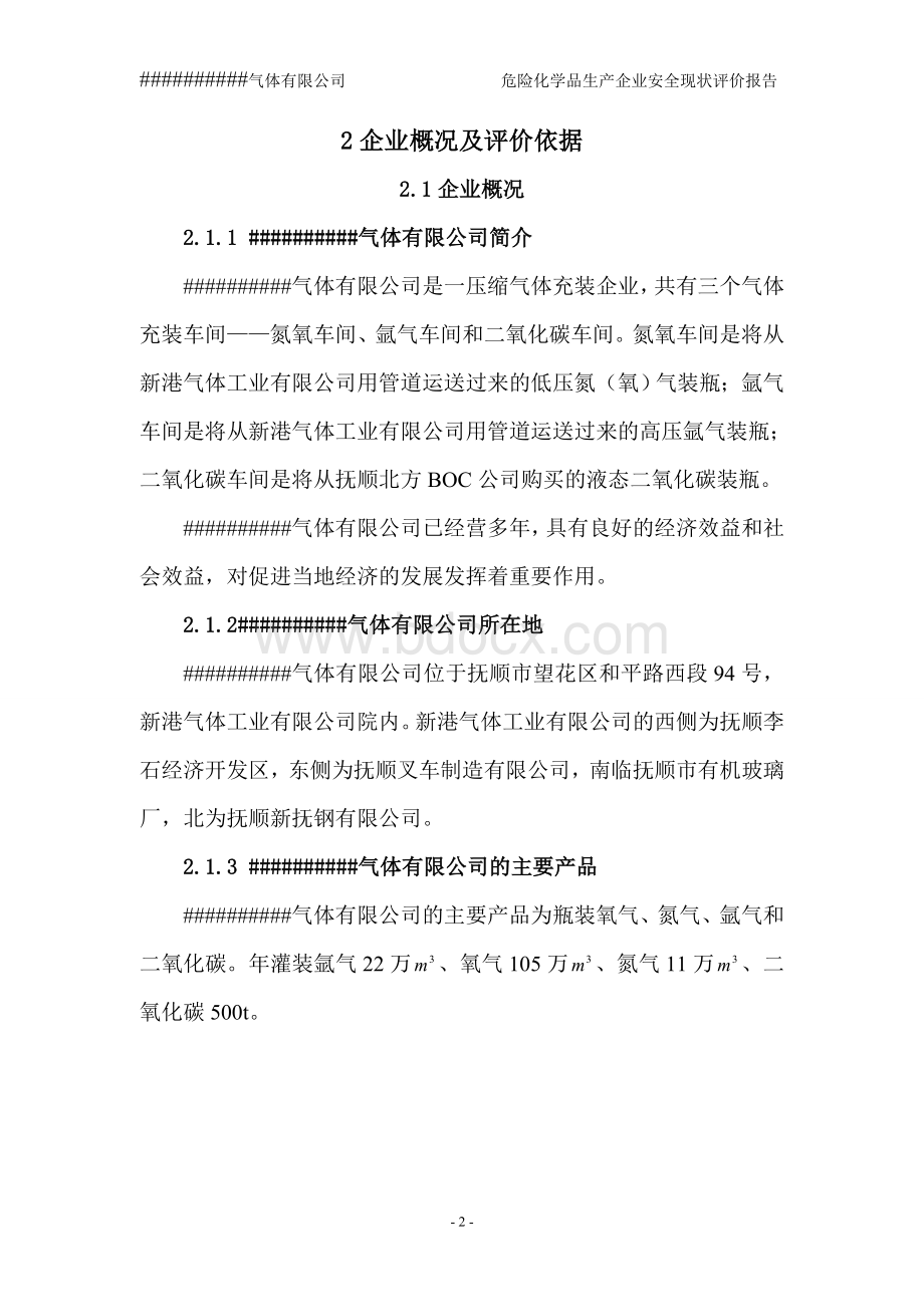 氧氮氩生产企业安全现状评价报告文档格式.doc_第2页