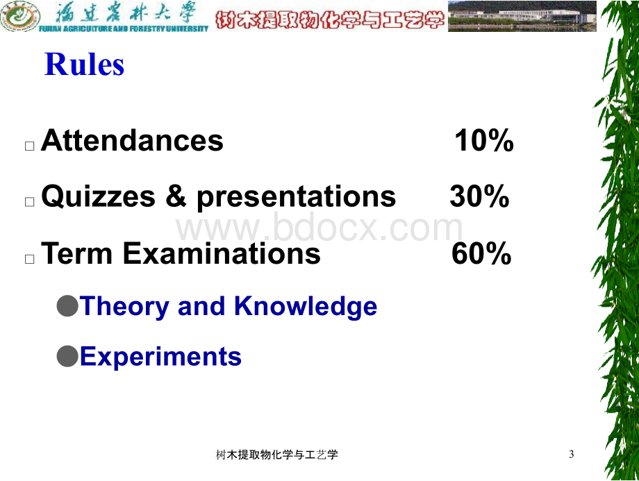 林产化学与工艺学.pptx_第3页