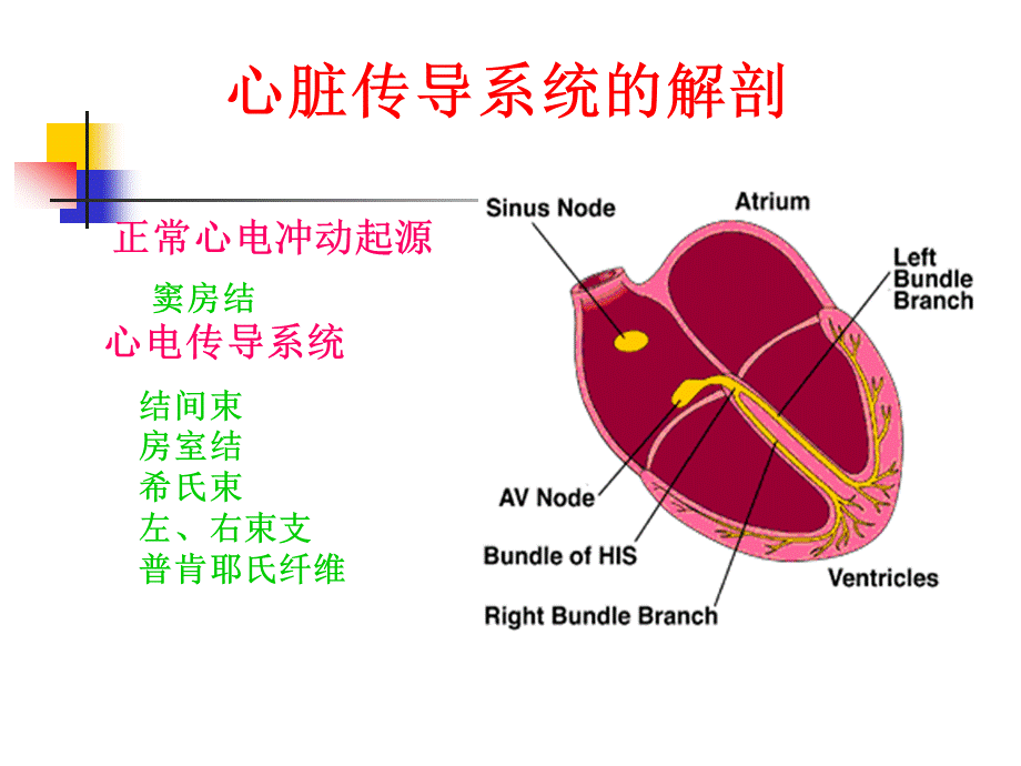 1心律失常概述第8版PPT.ppt_第3页