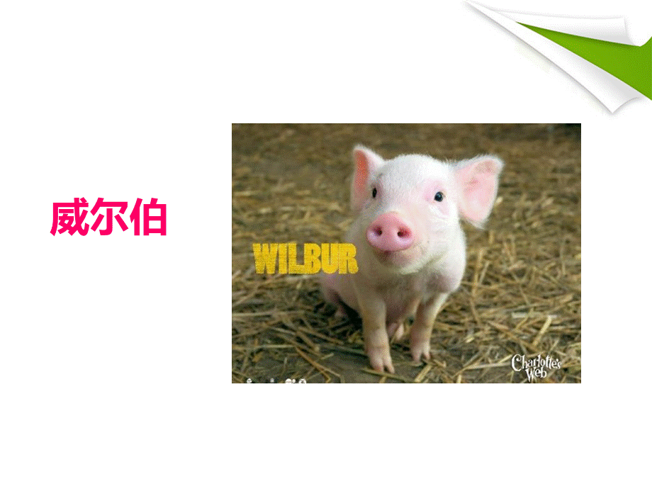 夏洛的网ppt.ppt_第3页