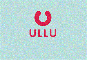 ULLU品牌手册优质PPT.ppt