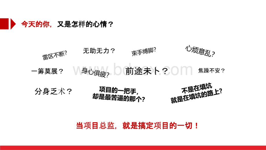 NO.1新任项目总监的角色转身：综合管理,从“认知”开始PPT文件格式下载.ppt_第3页