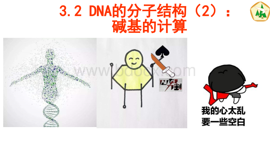 3.2DNA的分子结构(2)：碱基的计算PPT资料.pptx_第1页