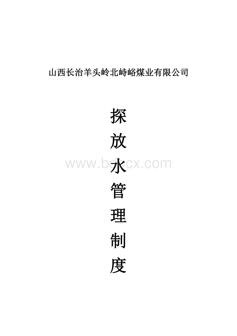 探放水制度wWord文件下载.doc_第1页