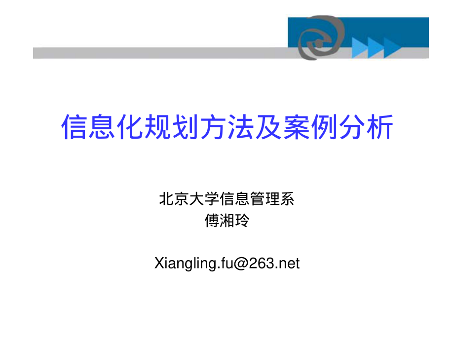 信息化规划方法及案例分析.pdf