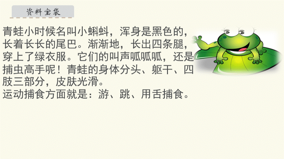 小青蛙PPT.pptx_第3页