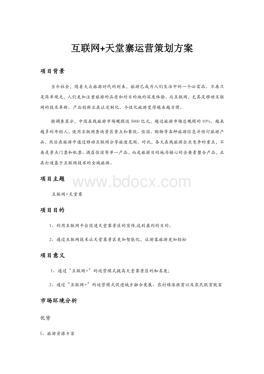 互联网天堂寨旅游策划案.docx