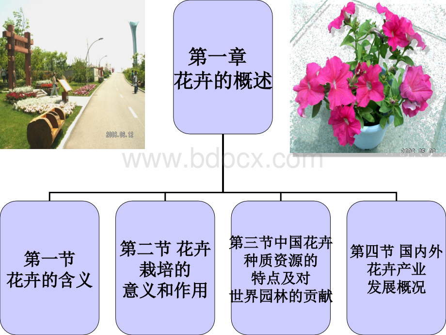 中国花卉种质资源的特点PPT课件下载推荐.ppt_第2页