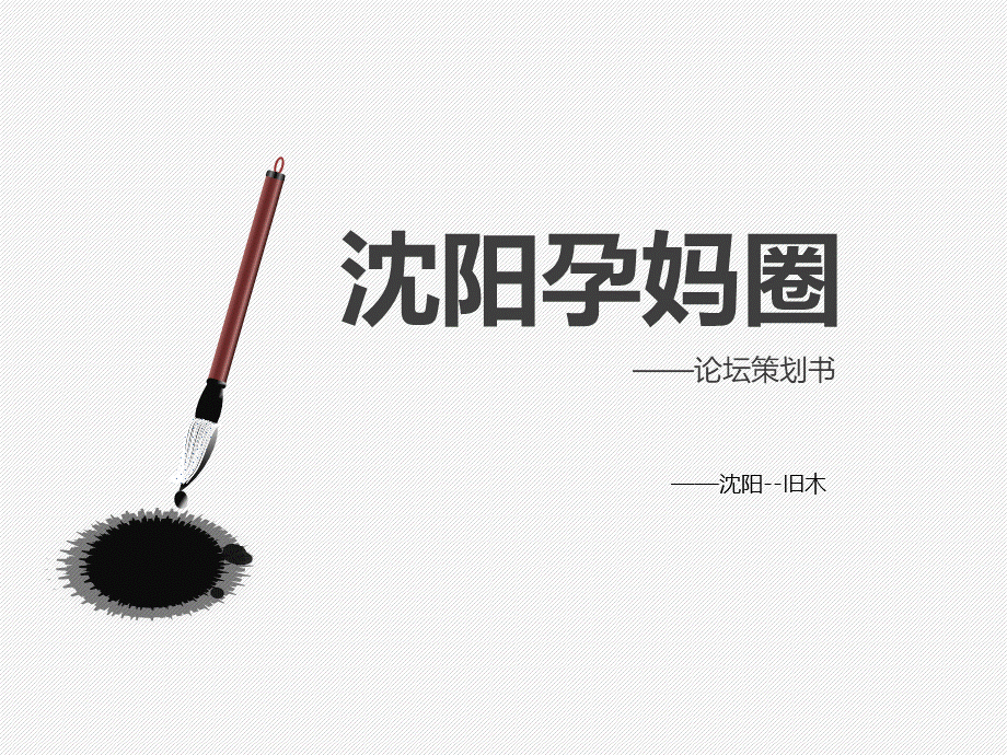 建站策划书.ppt