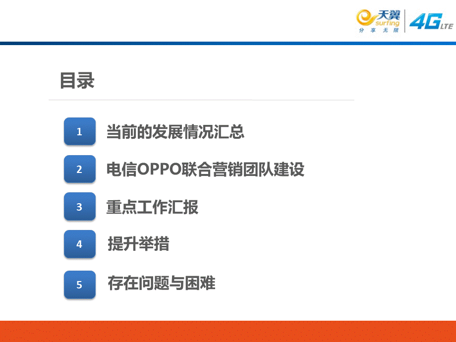 天津电信OPPO厂商渠道运营分析天津PPT文档格式.pptx_第2页