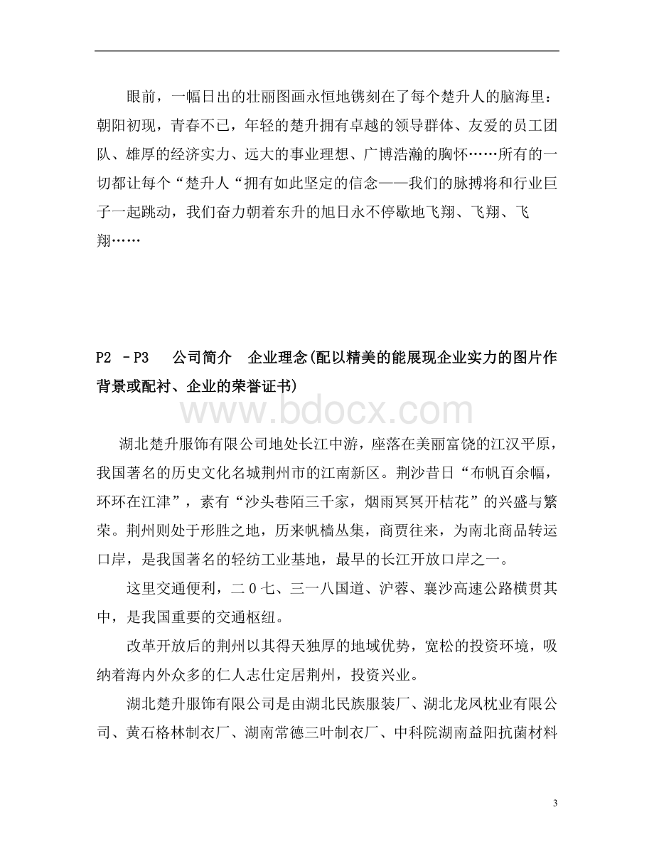 湖北荆州楚升服饰有限公司文化事业手册策划方案.doc_第3页