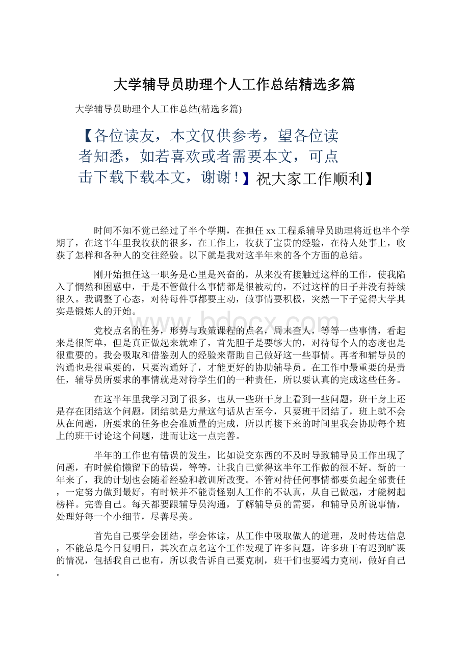 大学辅导员助理个人工作总结精选多篇.docx