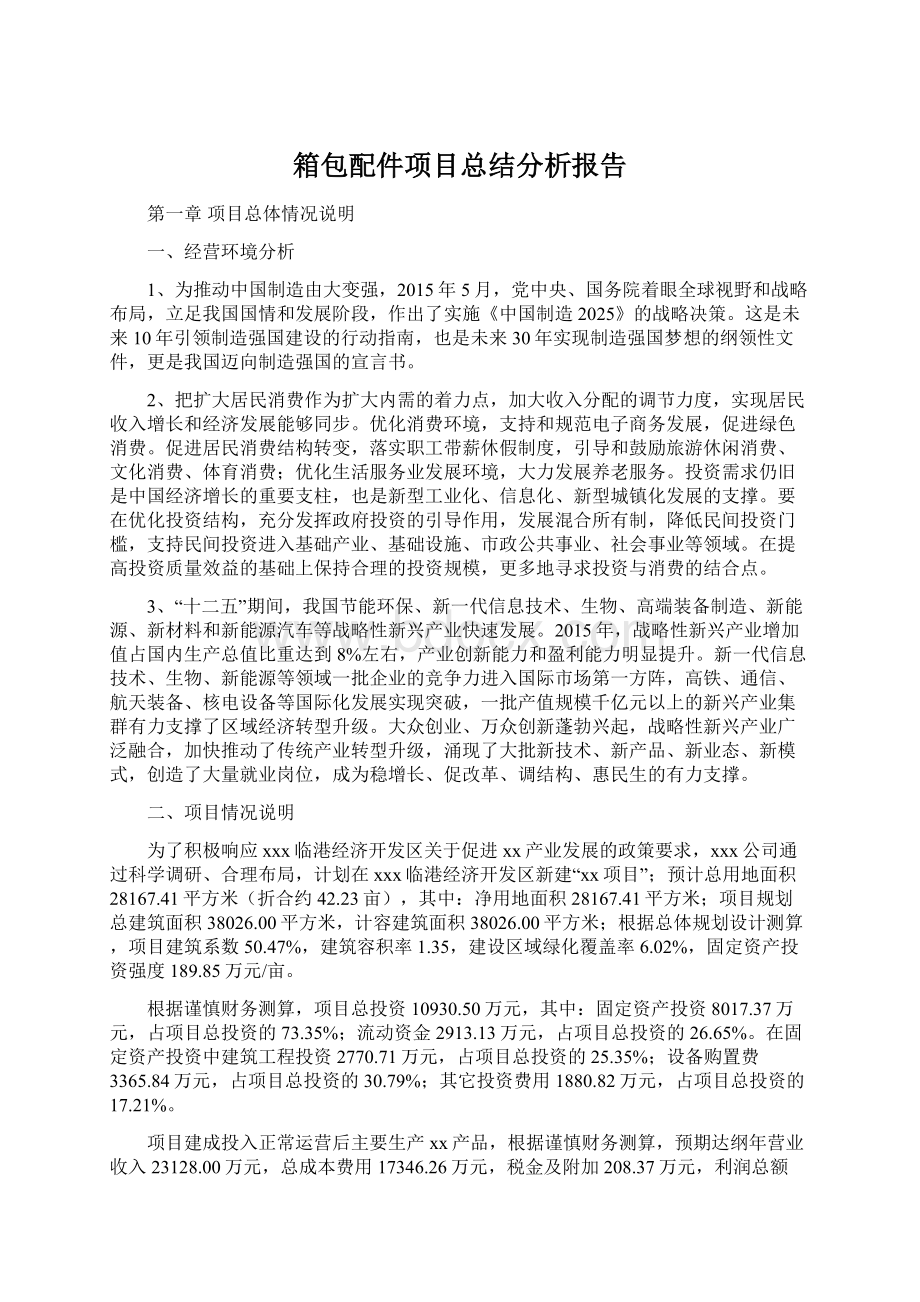 箱包配件项目总结分析报告.docx_第1页