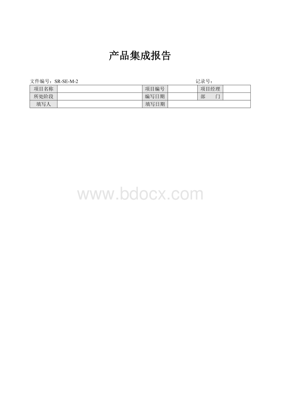 产品集成策略并报告Word文档格式.doc_第1页