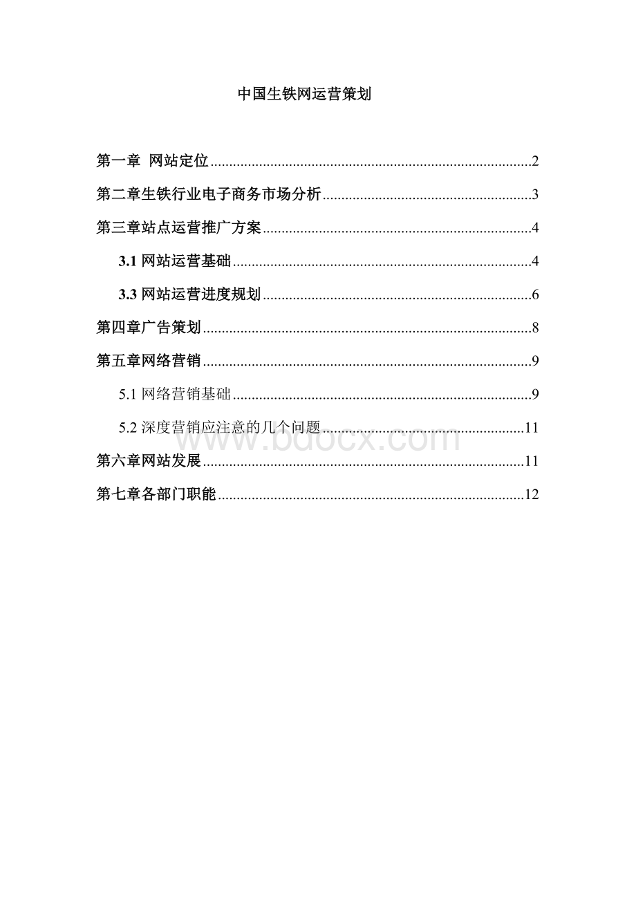 中国生铁网运营策划Word格式.doc_第1页