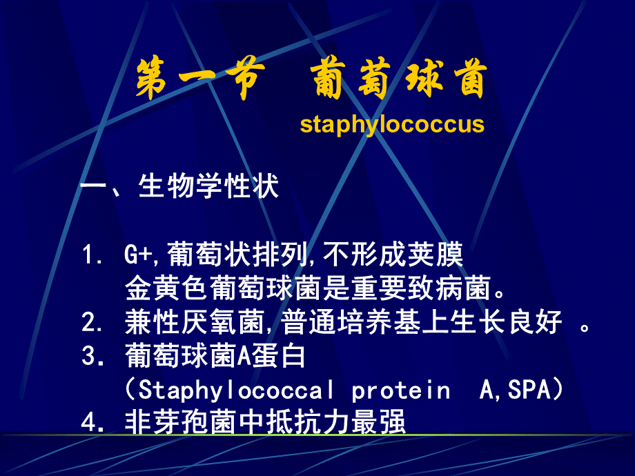 细菌学各论PPT课件下载推荐.ppt_第3页