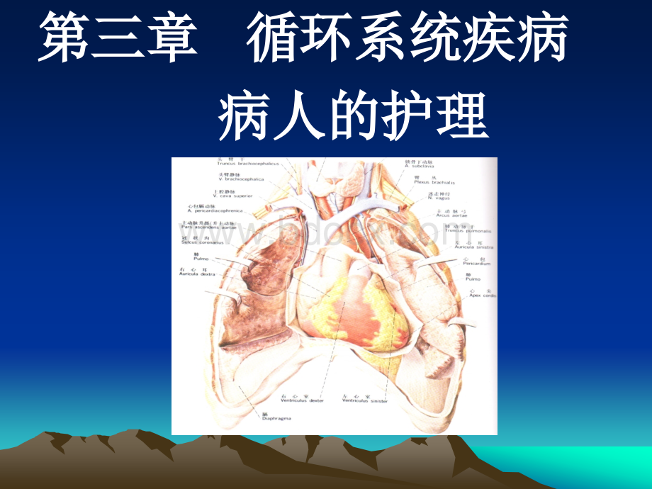 循环系统疾病病人护理PPT文档格式.ppt