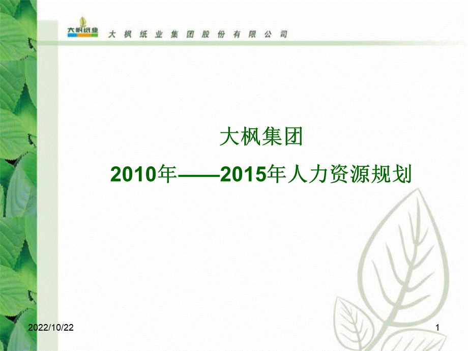 大枫集团5年人力资源战略规划精品文档优质PPT.ppt_第1页