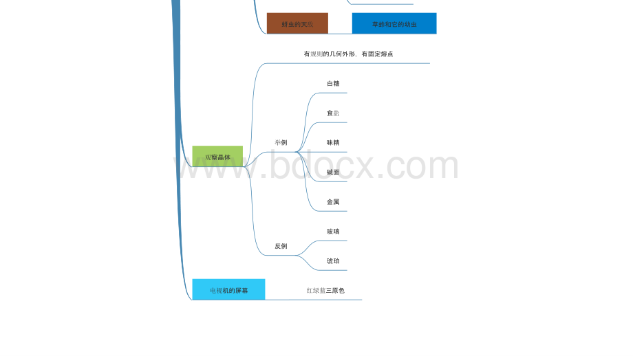 六年级科学下册第一二单元思维导图.pptx_第3页