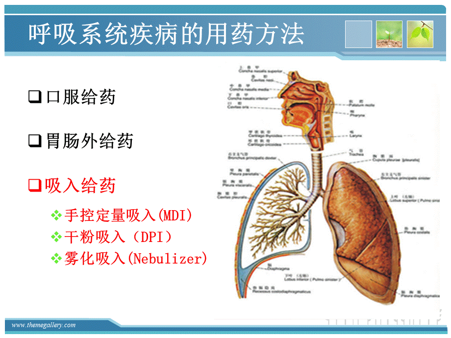 常用吸入药物的使用及注意事项PPT文档格式.ppt_第3页