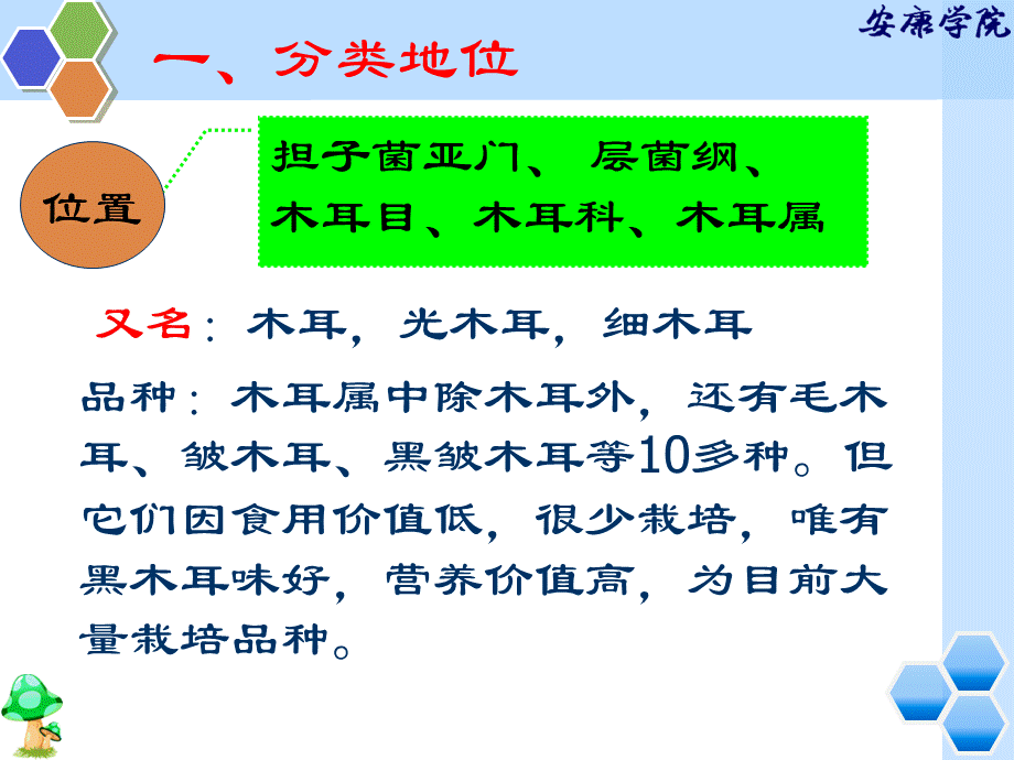 黑木耳栽培.ppt_第3页