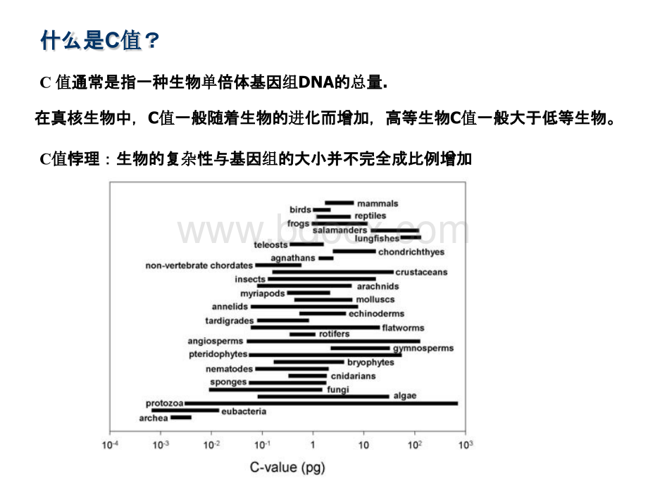 基因组与生物信息学(课件)PPT文档格式.pptx_第3页