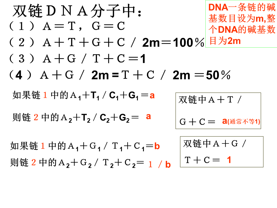 DNA中碱基计算的一般规律PPT格式课件下载.ppt_第3页