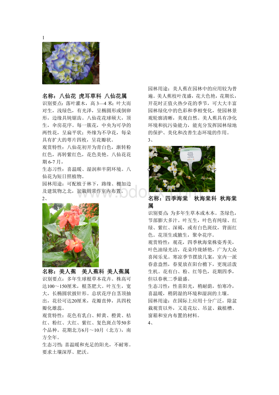 杭州常见园林花卉200种.doc_第2页