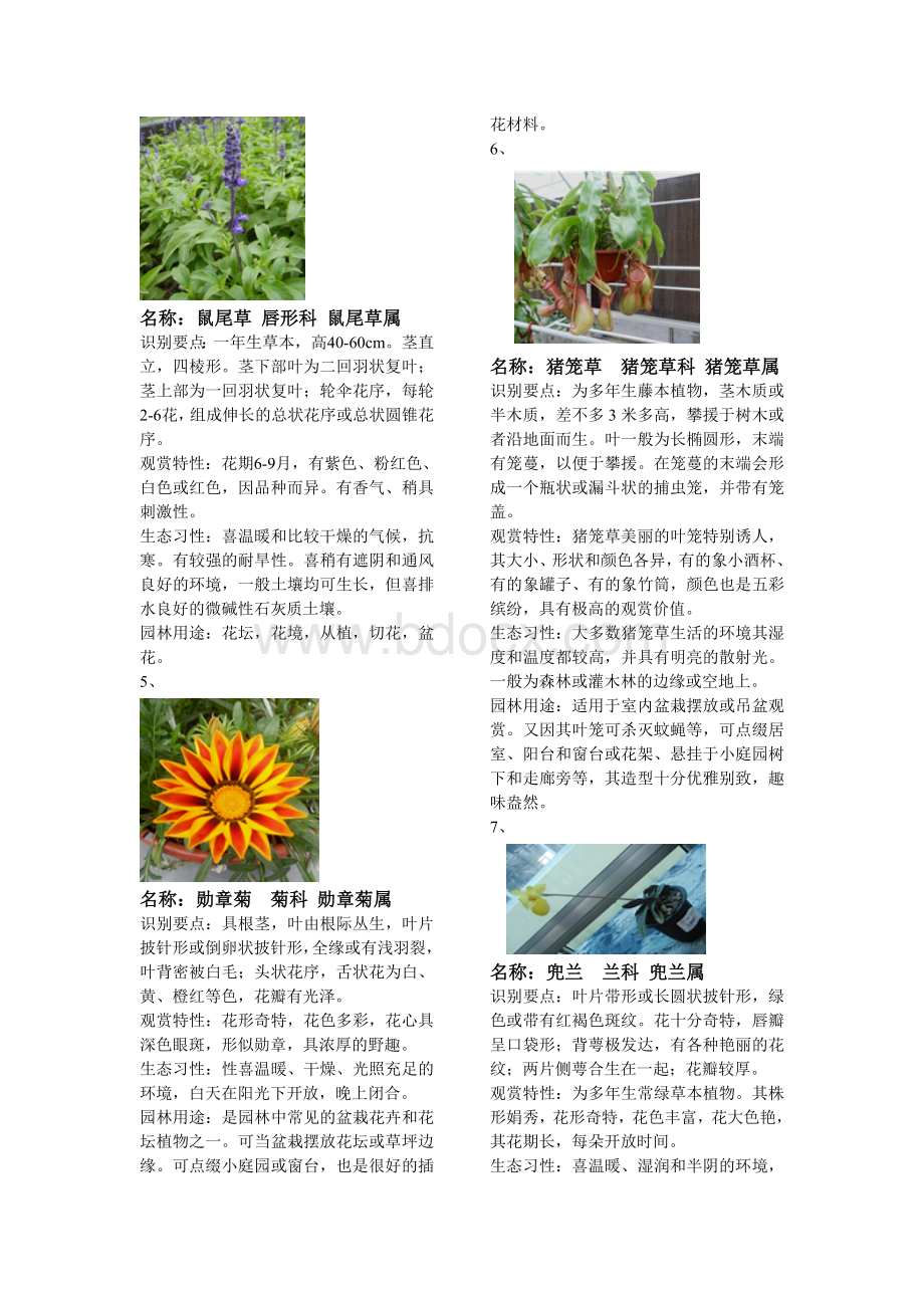 杭州常见园林花卉200种.doc_第3页