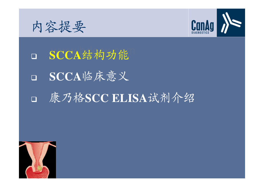 鳞状细胞癌抗原SCCA资料下载.pdf_第2页