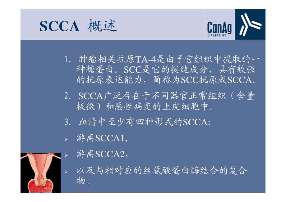 鳞状细胞癌抗原SCCA资料下载.pdf_第3页