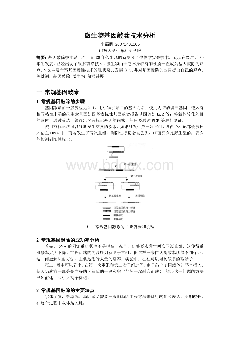 微生物基因敲除技术分析.doc_第1页