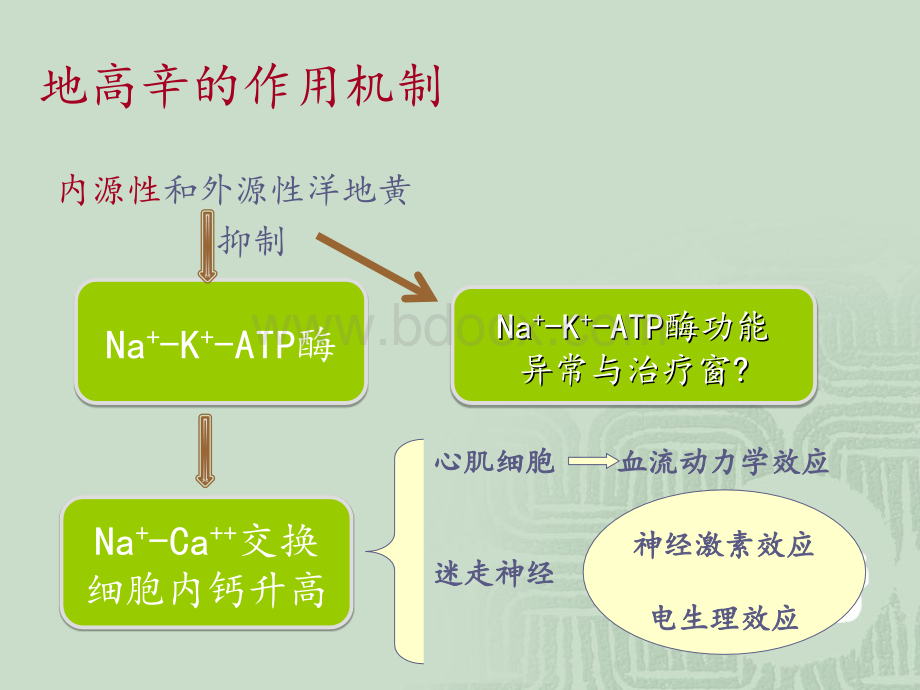 地高辛—即将谢幕房颤心率控制药物.ppt_第3页