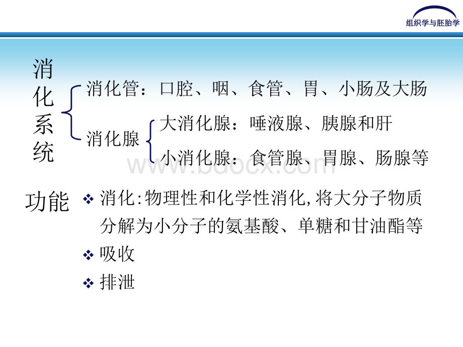 第一部分_精品文档PPT文件格式下载.ppt_第3页