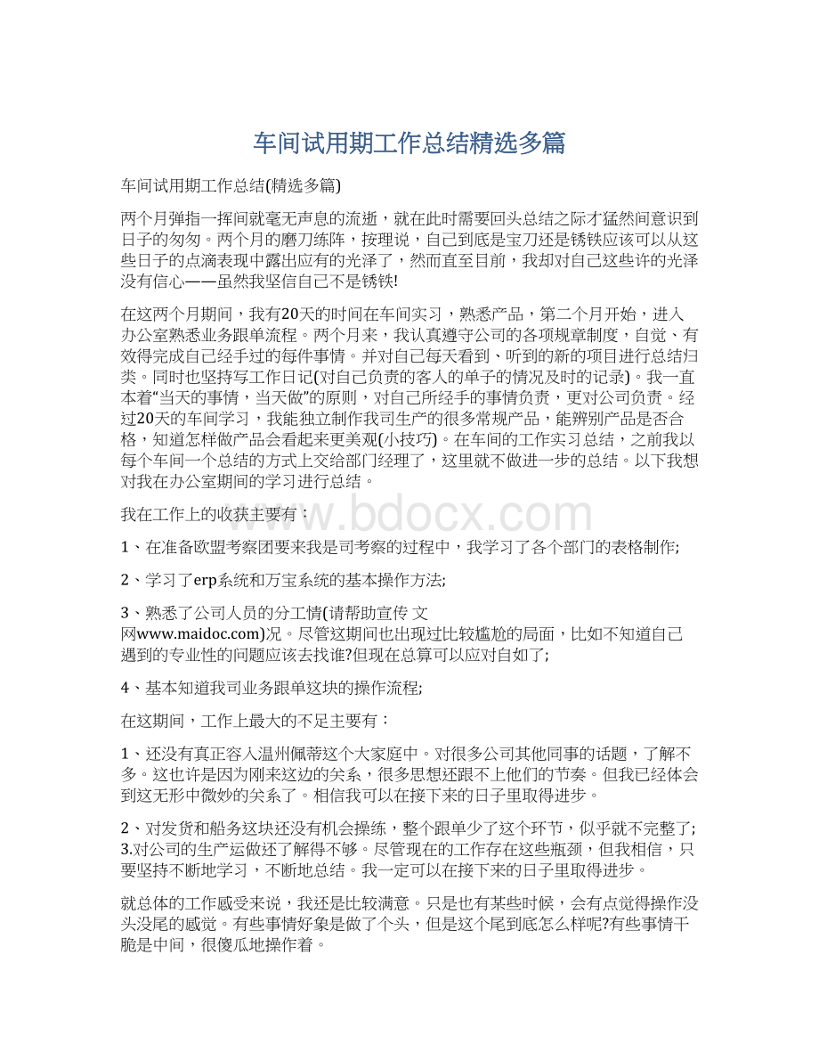 车间试用期工作总结精选多篇.docx