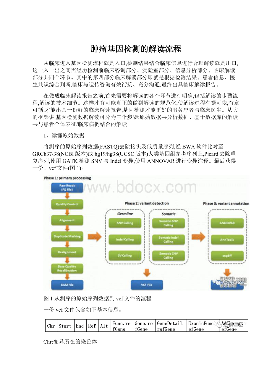 肿瘤基因检测的解读流程.docx_第1页