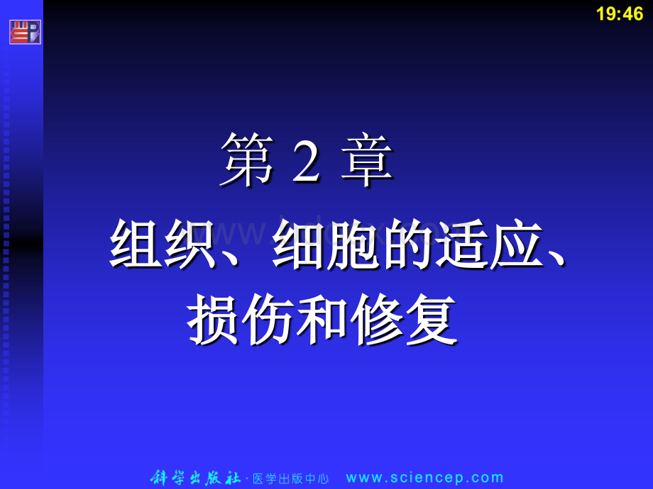 病理学基础病理组织图谱优质PPT.ppt_第2页