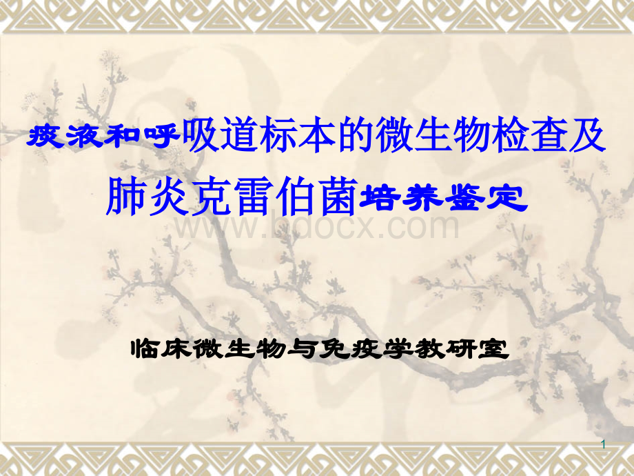 微生物学检验第3版肺炎克雷伯与痰液标本检查PPT文件格式下载.ppt