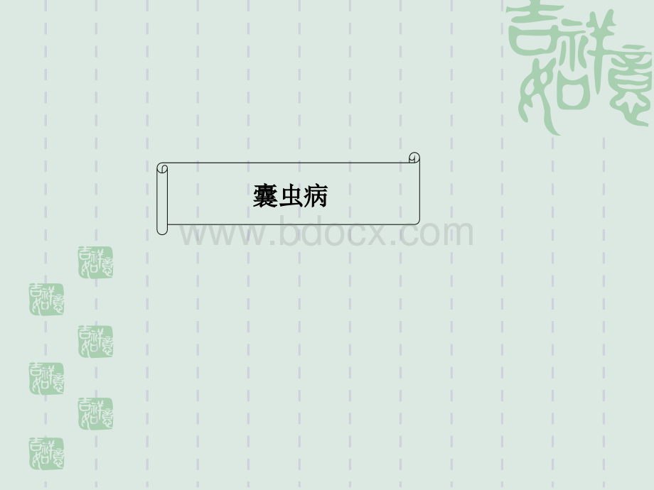 囊虫病图片PPT课件下载推荐.ppt_第1页