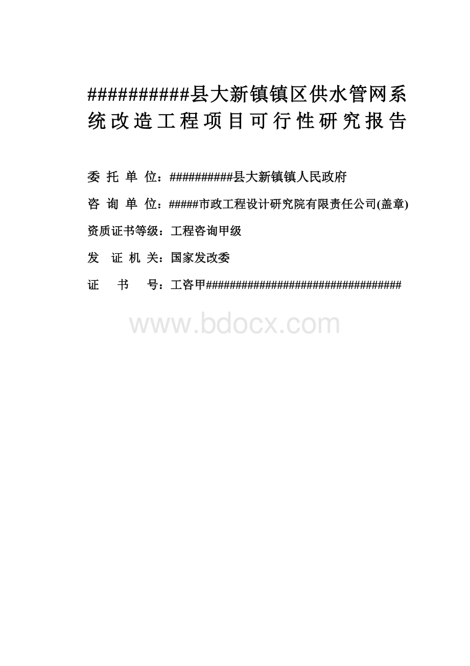 镇区供水管网系统工程项目可行性研究报告.doc_第2页