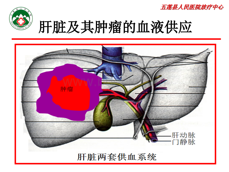 肝癌的放射治疗PPT课件下载推荐.pptx_第2页